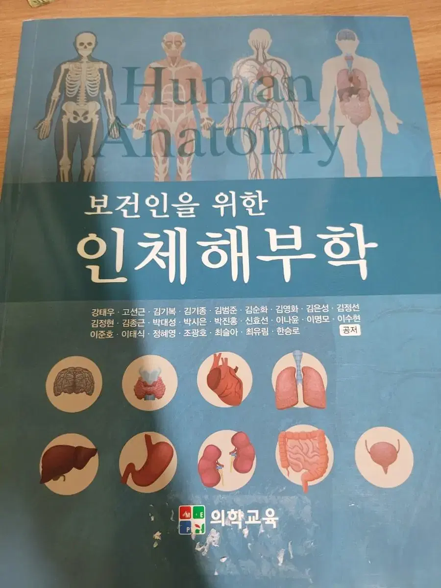 인체해부학 팝니다